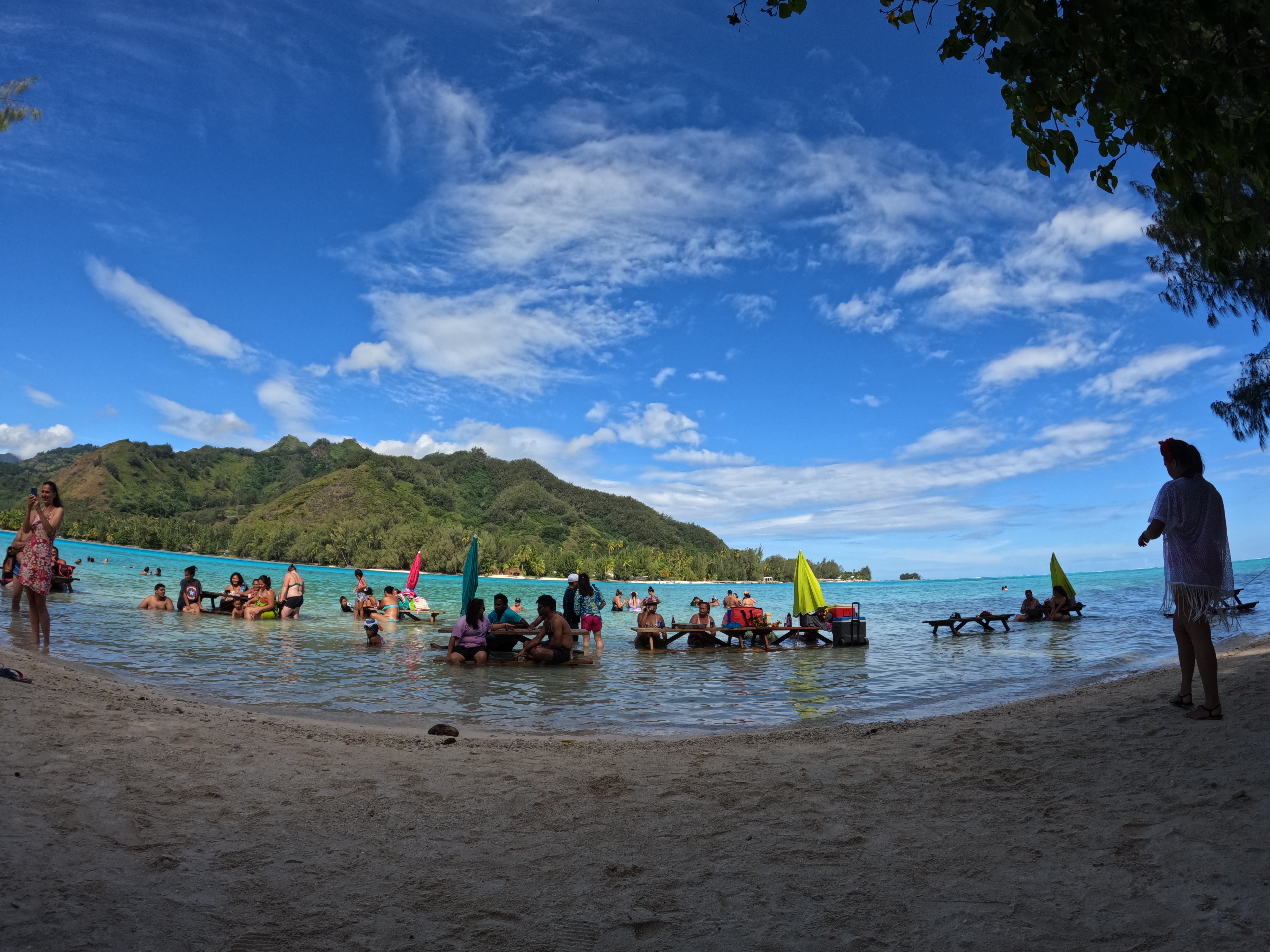 2022 Tahiti Taravao HXP - Day 4 (Kass's Birthday, Swimming with Sharks & Stingrays, Motu Fareone Island, Making Motu Fareone (E'ia Ota), Catching Crabs for 'Alca-Crab', Dance Party on Ferry to Tahiti, Catching Geckos)